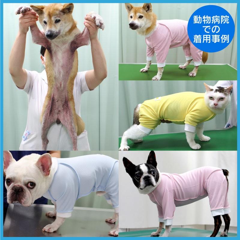送料込 アトピー アレルギー 舐め対策 獣医師推奨 皮膚保護服スキンウエアr 旧名エリザベスウエア 女の子 雌 中型犬用 ネコポス値3 介護服 つなぎ 犬服 16 1 犬猫術後服エリザベスウエア専門店 通販 Yahoo ショッピング
