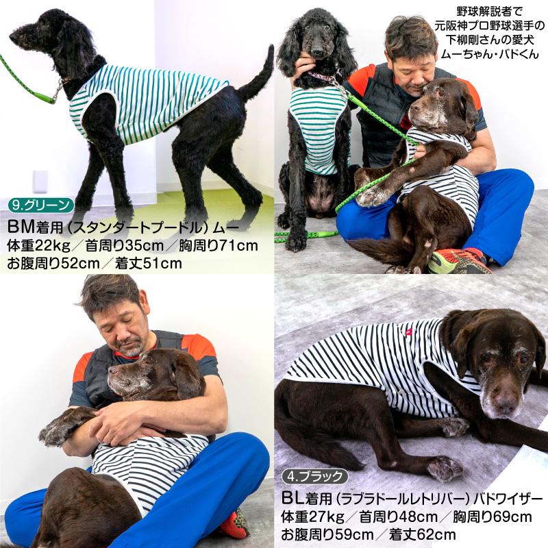 犬用品 Atelier G-G 犬服 ボーダー エッフェル塔 刺繍