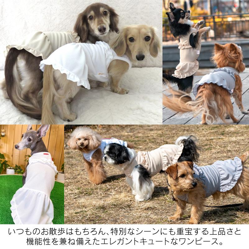 送料込】防蚊フリルワンピース(ダックス・小型犬用) : 22-04020-1 : 犬 