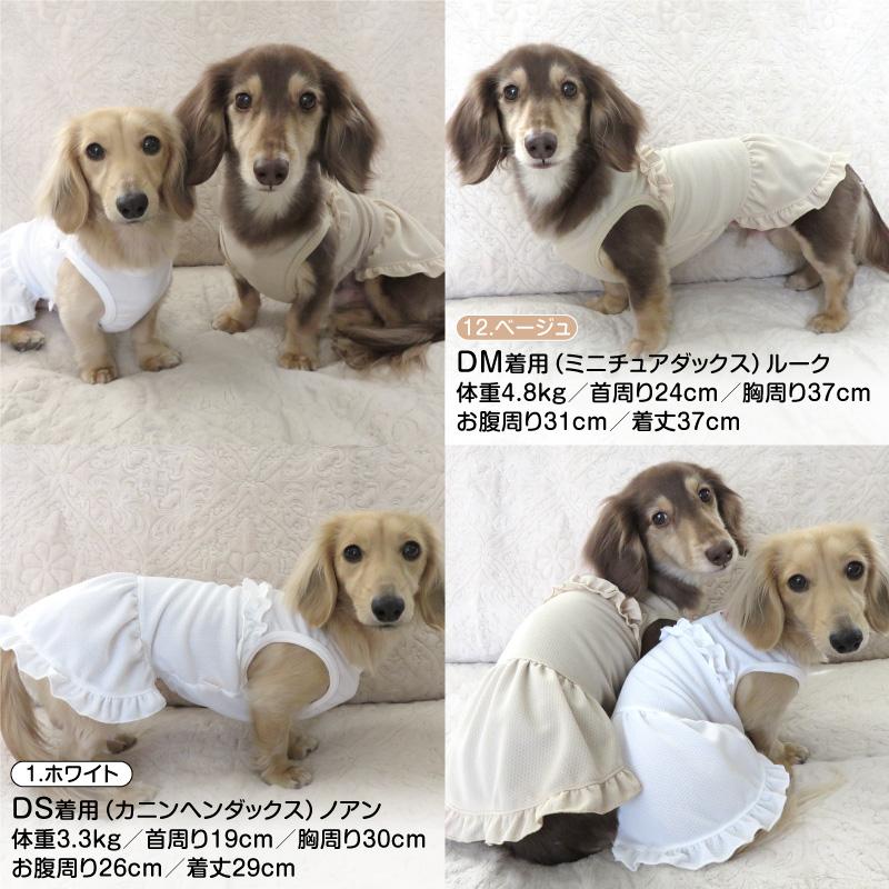 送料込】防蚊フリルワンピース(ダックス・小型犬用) : 22-04020-1 : 犬 