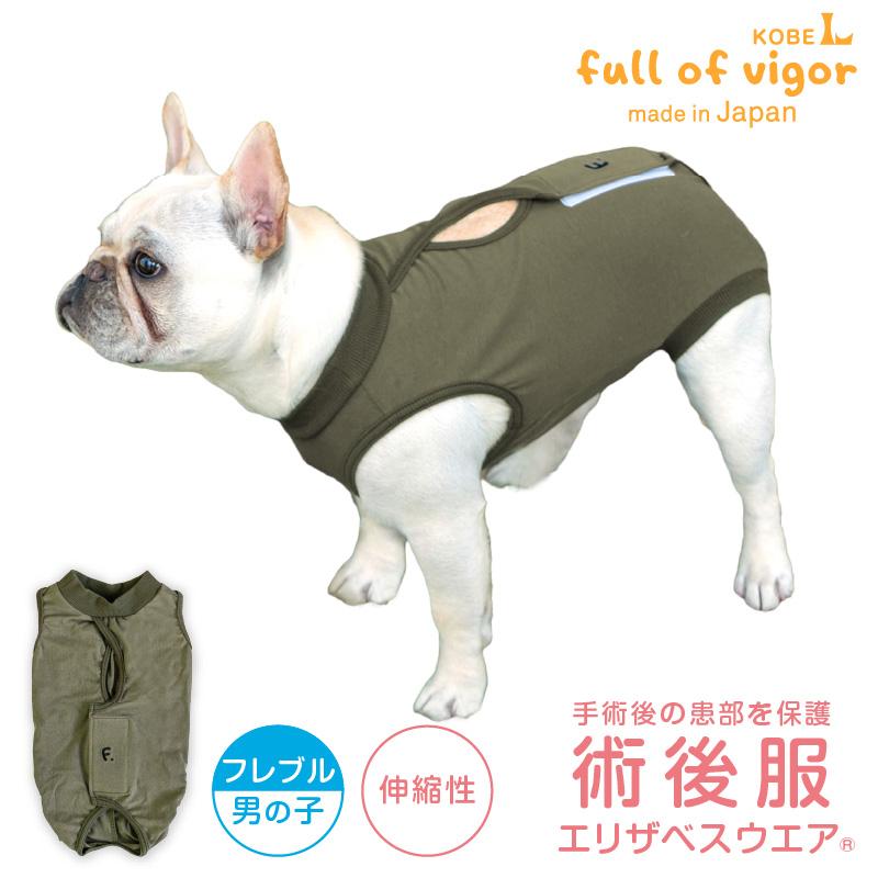 full of vigor（フルオブビガー） エリザベスカラー の代わりに 獣医師