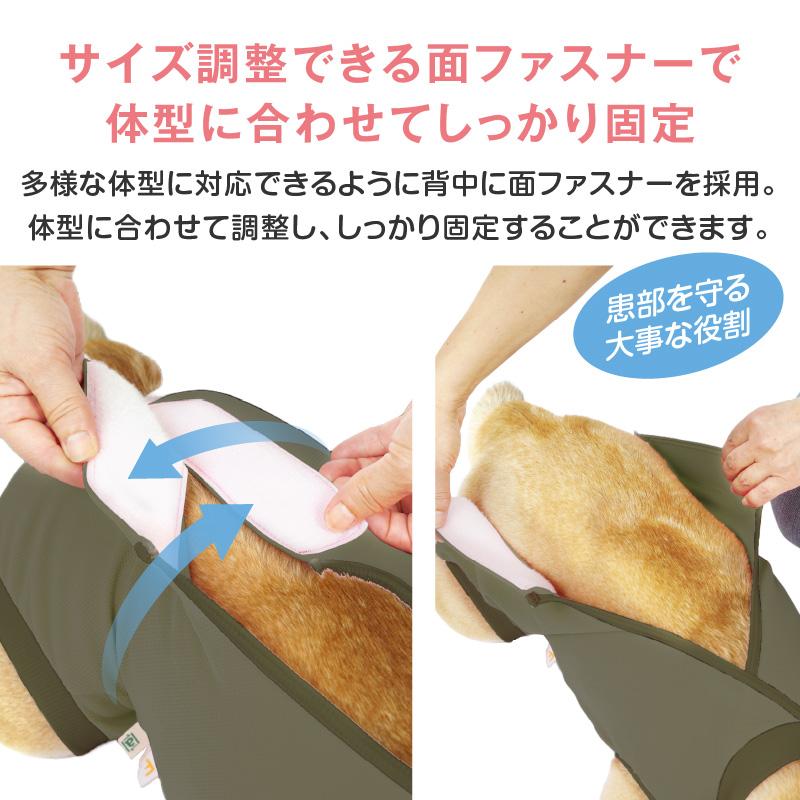 full of vigor エリザベスカラー の代わりに 獣医師 去勢 避妊