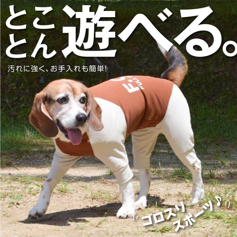 【送料込】ドッグプレイ(R)裏起毛ハイテンションラッシュガード（中型犬用）犬服 柴犬 コーギー 秋冬 ドッグウエア 遊び着｜elizabethwear｜03