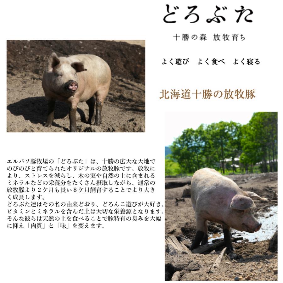 ランチョ エルパソ特製オリジナルギフト どろぶた Lan 6５ A エレガヤフー店 通販 Yahoo ショッピング