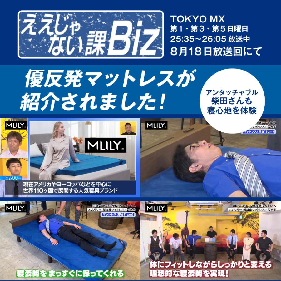 MLILY 【医師・専門家が推奨】 エムリリー マットレス シングル MLILY 【医師・専門家が推奨】 エムリリー マットレス シングル