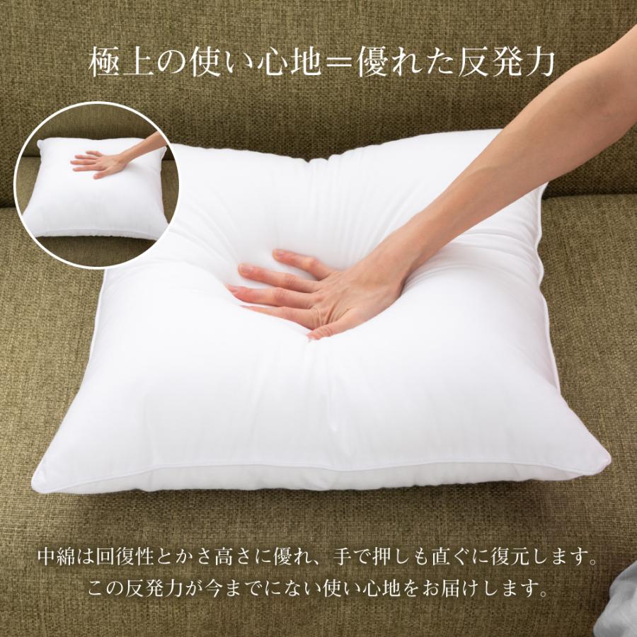 HOME COCCI クッション 2個セット ヌードクッション 45cm×45cm HOME COCCI クッション 2個セット ヌードクッション 45cm×45cm