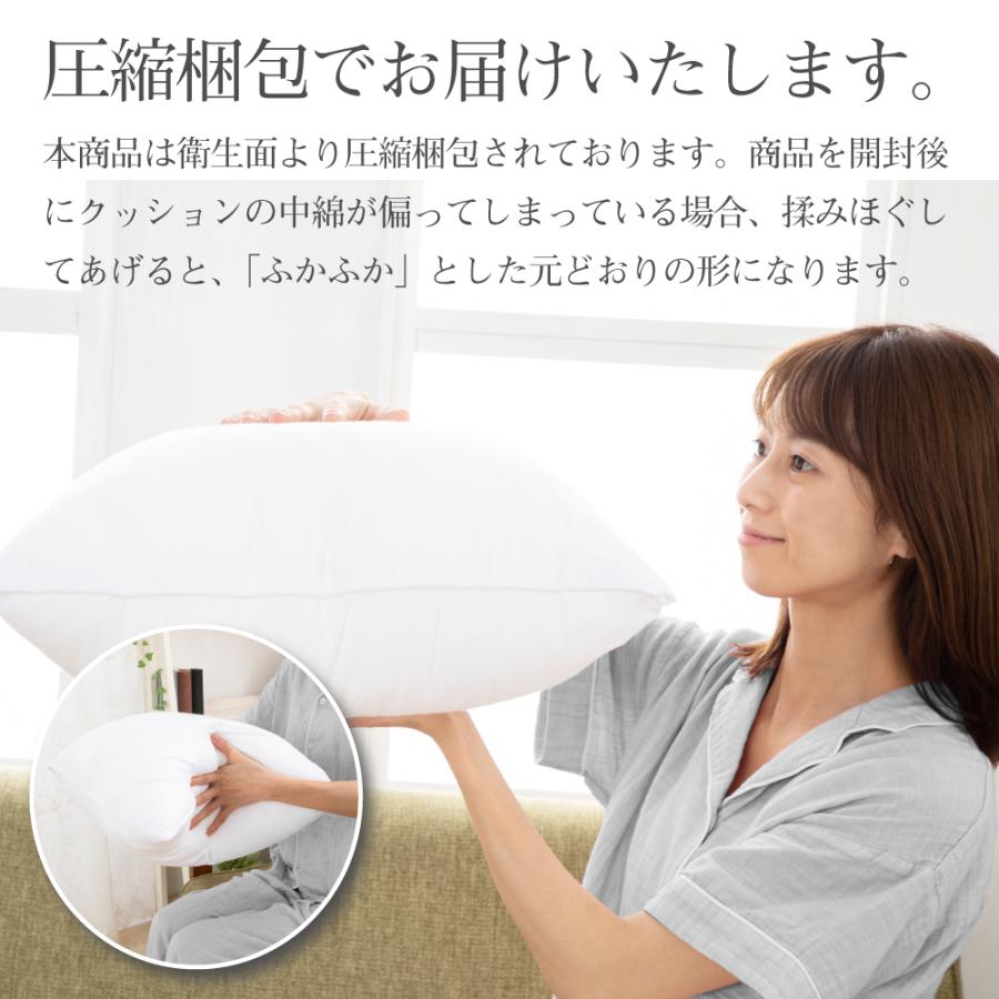 HOME COCCI クッション 2個セット ヌードクッション 45cm×45cm HOME COCCI クッション 2個セット ヌードクッション 45cm×45cm