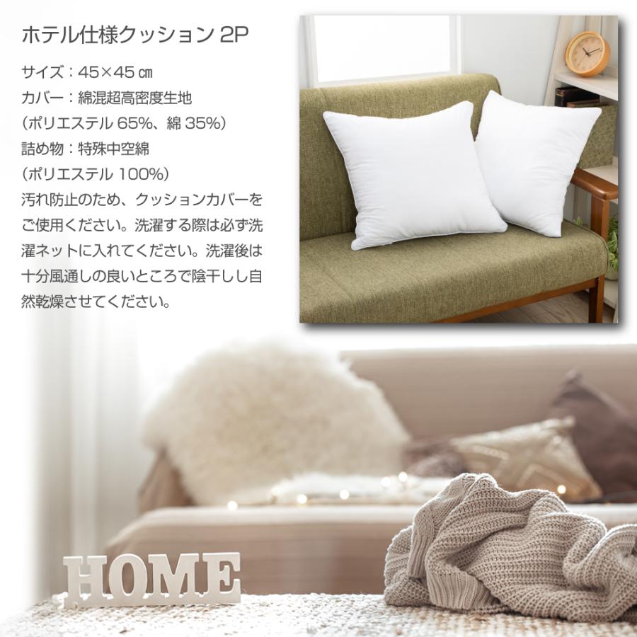 HOME COCCI クッション 2個セット ヌードクッション 45cm×45cm HOME COCCI クッション 2個セット ヌードクッション 45cm×45cm