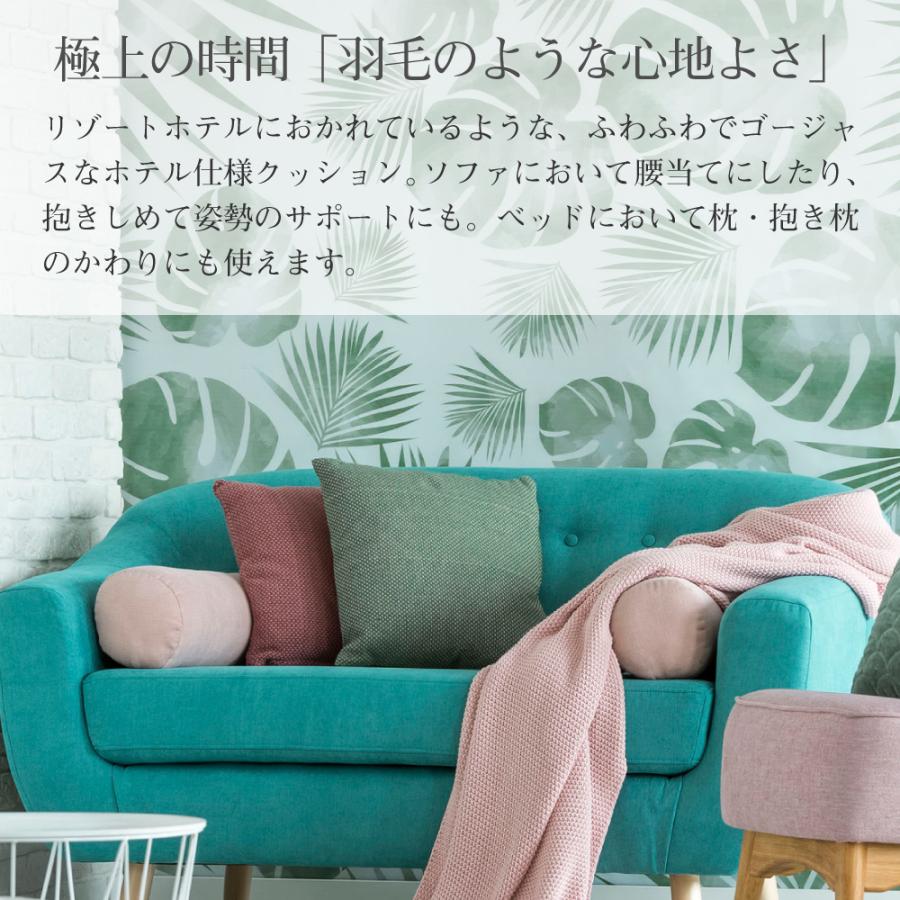 HOME COCCI クッション 2個セット ヌードクッション 45cm×45cm HOME COCCI クッション 2個セット ヌードクッション 45cm×45cm
