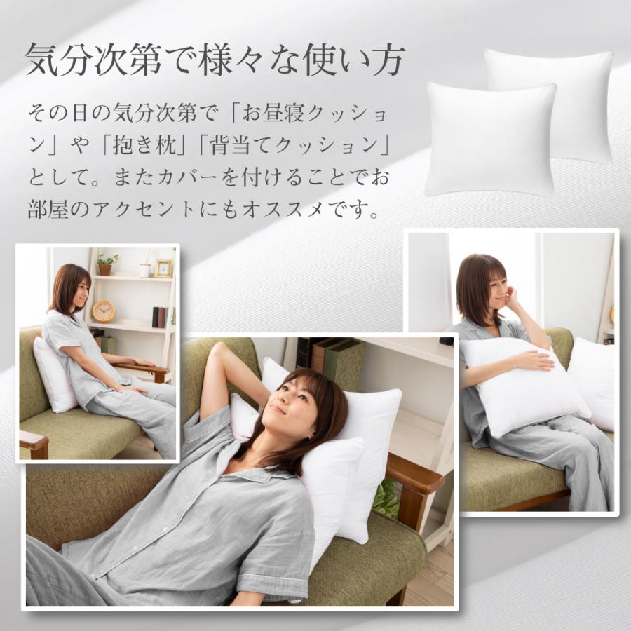 HOME COCCI クッション 2個セット ヌードクッション 45cm×45cm HOME COCCI クッション 2個セット ヌードクッション 45cm×45cm
