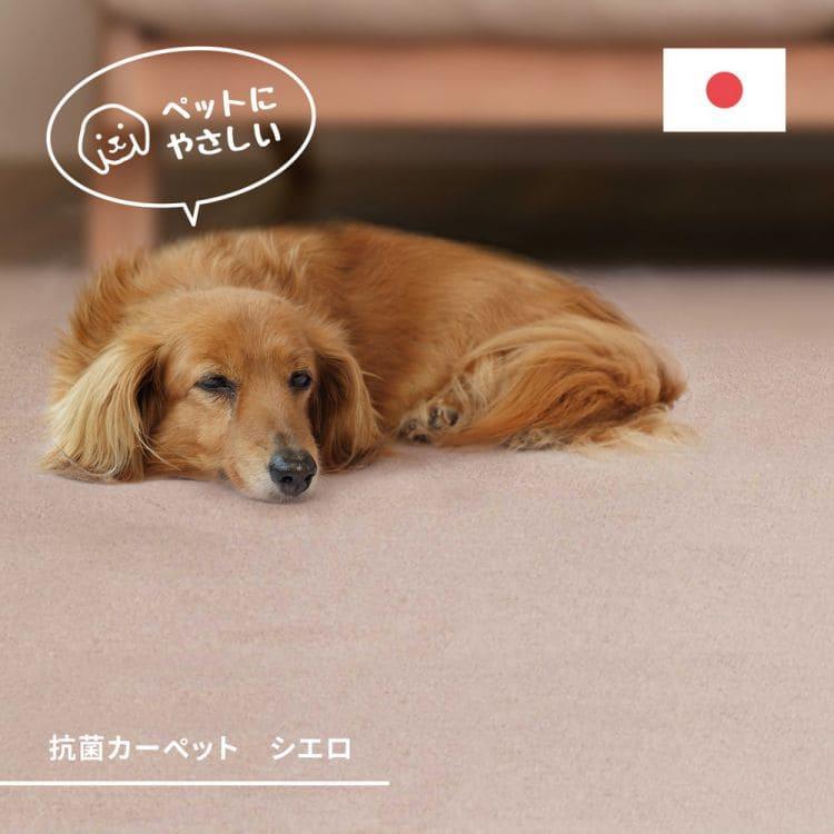 ラグ カーペット 冬 江戸間 3畳 長方形 丸巻き ペット 日本製 ホットカーペット 床暖房 冬用 毛足短い パイル 国産 抗菌 防臭 軽量 薄手 子供部屋 おしゃれ