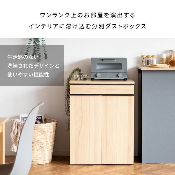 ゴミ箱 レンジ台 45l ダストボックス 大容量 分別 引き出し キャスター キッチン 45リットル 生ごみ 木目 北欧 スチール ごみ箱 密閉 防臭 前扉 移動式 おしゃれ｜elmono｜02