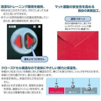 AIREX(R) エアレックス マット　リハビリ・トレーニングマット(波形パターン) ヘラクレス　AMF-330B・ブルー_1