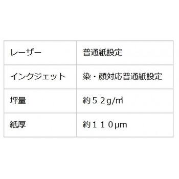 和紙のイシカワ OA和紙特厚 白 B5判 100枚入 10袋 WP-800-10P_1
