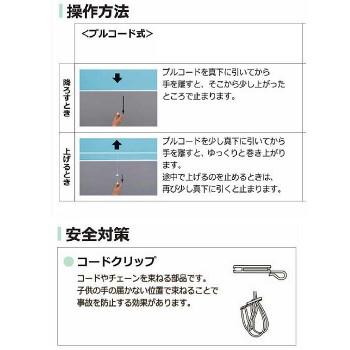 タチカワ ファーステージ ロールスクリーン オフホワイト 幅50×高さ150cm プルコード式 TR-1001 スノー