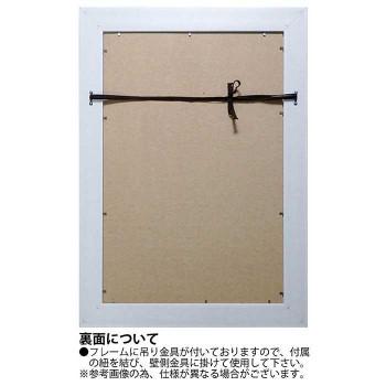 ユーパワー X RAY 帆布工芸 M大きさ 「サンダーソニア」 XR-12014