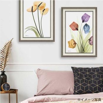 ユーパワー X RAY 帆布工芸 M大きさ 「サンダーソニア」 XR-12014