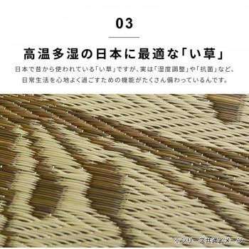 い草ラグ フェアリー ブルー 約230×330cm 81833905_4