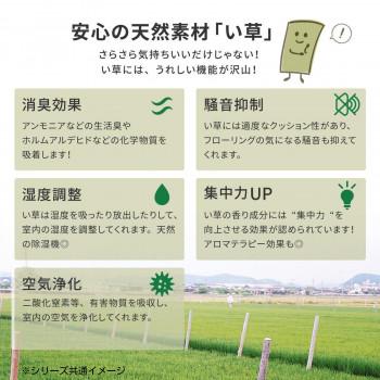 フリーカット裏付き い草カーペット みすず 江戸間4.5帖 約261×261cm 158004945_5
