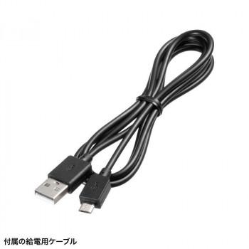 サンワサプライ HDMI-DisplayPort変換アダプタ(8K/30Hz) AD-HD32DP