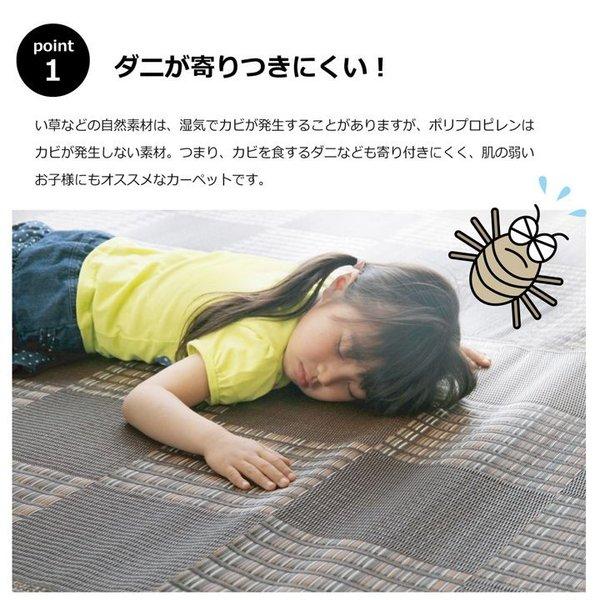 カーペット 夏用 ラグ 4.5畳 本間 撥水 洗える い草 風 夏 ペット 防ダニ 日本製 正方形 絨毯 ラグマット 洗えるラグ ござ 国産 和室 ダイニング おしゃれ 爆買_3