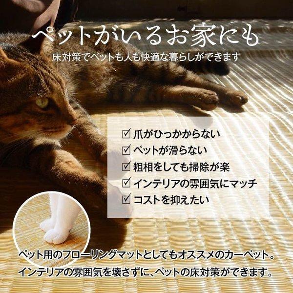 カーペット 夏用 ラグ 4.5畳 本間 撥水 洗える い草 風 夏 ペット 防ダニ 日本製 正方形 絨毯 ラグマット 洗えるラグ ござ 国産 和室 ダイニング おしゃれ 爆買_3