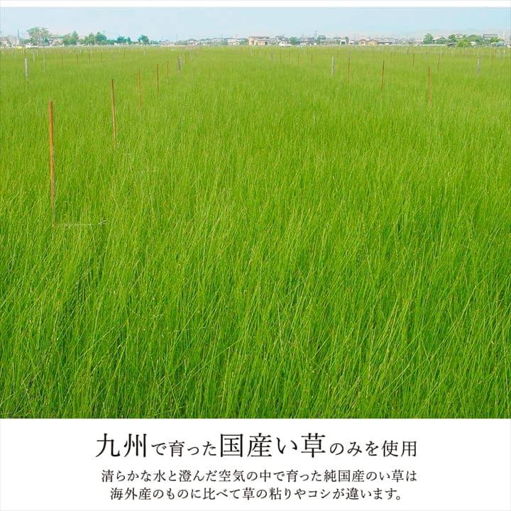 カーペット 2畳 江戸間 夏 い草 ラグ 夏用 ペット 日本製 拭ける 国産 厚手 子供 天然素材 おしゃれ 正方形 通年 オールシーズン いぐさ 和風 抗菌 防臭_10