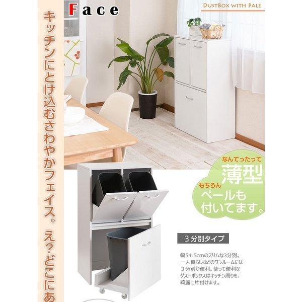人気満点 キッチンカウンター ゴミ箱 分別 2段 キッチン 目隠し 幅55 キッチンボード ダストボックス 収納 天板 ゴミ箱収納 大容量 台所 約 14l 25l N9rfy 0028 Elmono 通販 Yahoo ショッピング 即納最大半額 Hmconsultingbd Com