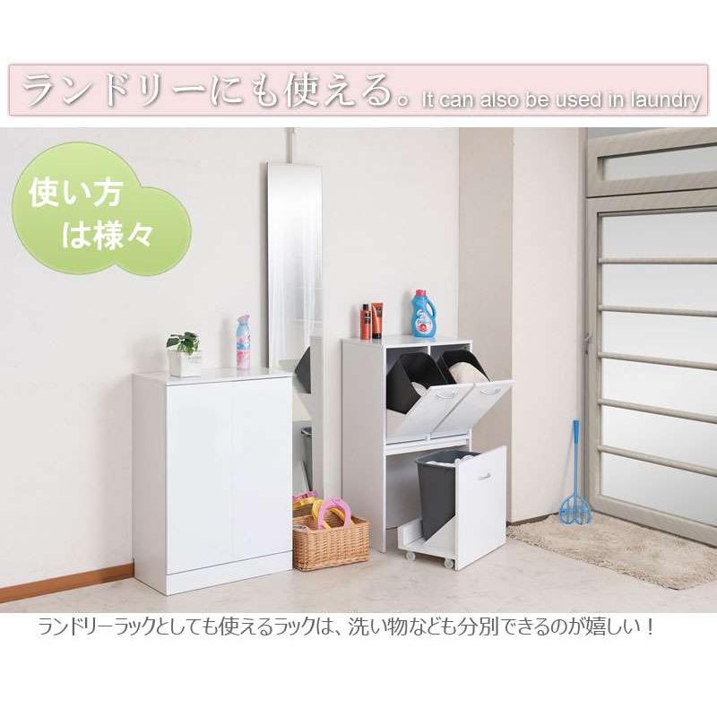キッチンカウンター ゴミ箱 分別 2段 キッチン 目隠し 幅55 キッチン