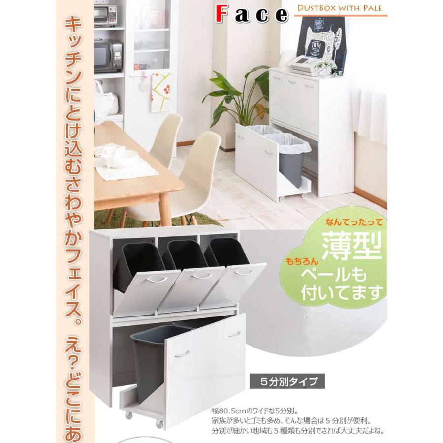 キッチンカウンター ゴミ箱 分別 2段 キッチン 目隠し 幅80 キッチン