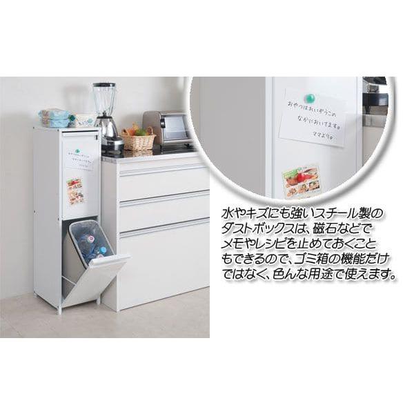 ゴミ箱 スリム 2段 30l 幅25 フタ付き ラック 斜め ダストボックス