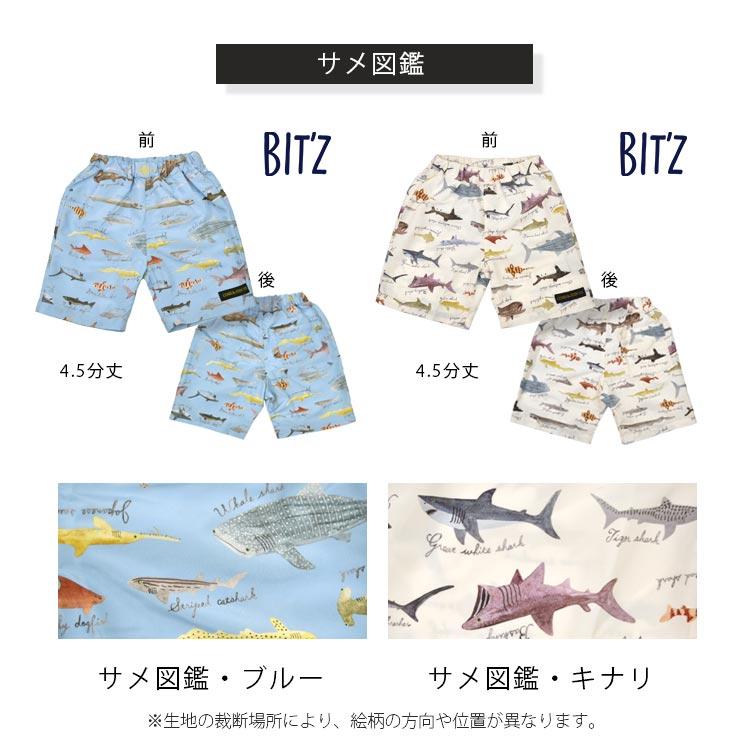 BIT'Z 水着 トランクス キッズ 男の子 スイムパンツ 切替 無地 BIT'Z 水着 トランクス キッズ 男の子 スイムパンツ 切替 無地