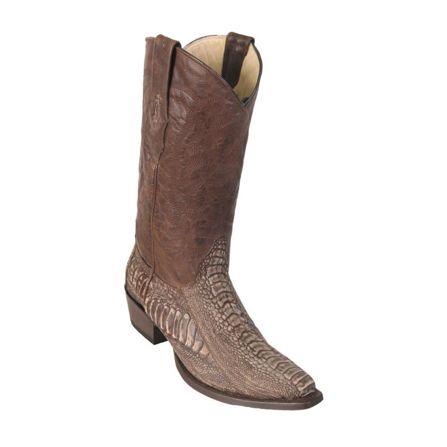 18)【TP221】ロスアルトス LOS ALTOS 13