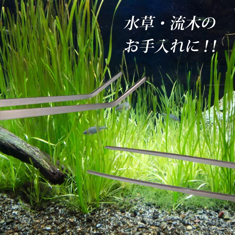 セールピンセット 水槽 水草 メダカ 水草 掃除 ステンレス 熱帯魚 カーブ ピンセット ロング ロング 水槽用 アクアリウム ピンセット 27cm ハーバリウム ストレート 水槽用品 マズメ(Mazume) FLAT CAP オールドエンブレム MZCP-568-04 オリーブ F