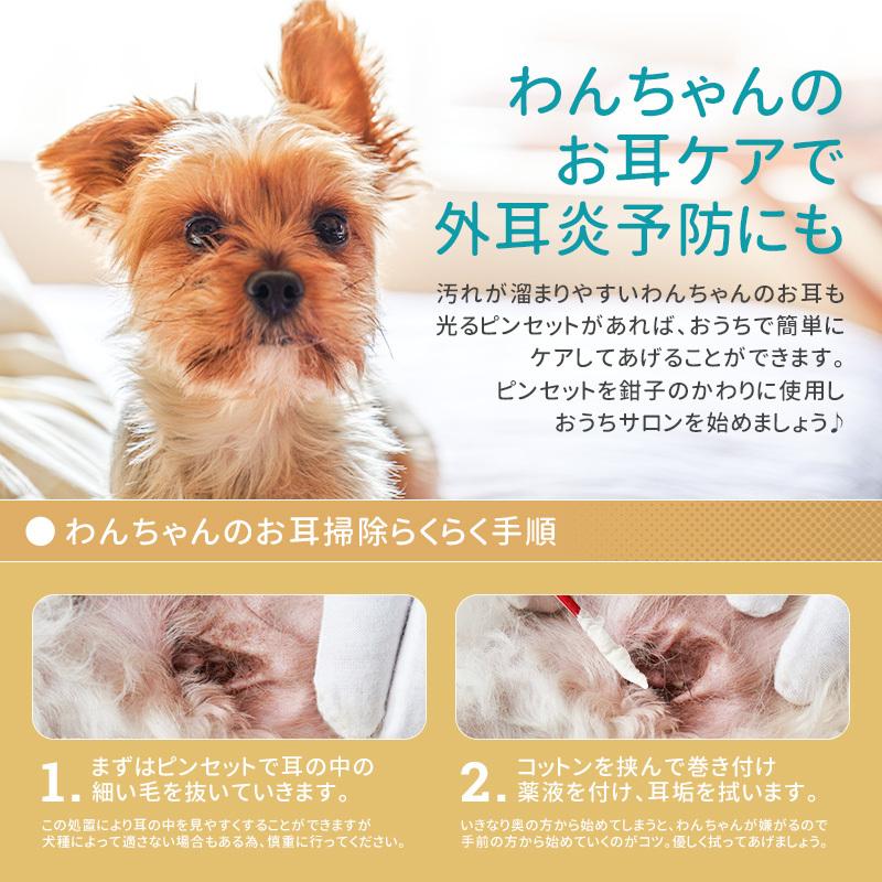 光る耳かき Led ライト付き ピンセット 簡単 充電式 ステンレス製 照明付き 耳掃除 便利グッズ 子ども用 かわいい ケース付き コンパクト 最大46 Offクーポン
