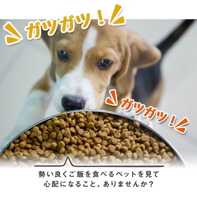 早食い防止 犬 食器 ペット用 フードボール 小型犬 猫 ペットボウル ペットフードボウル エサ入れ 丸飲み 防止 滑り止め ボウル 餌皿 食器 ペット用品 Mサイズ｜elpisstore｜02