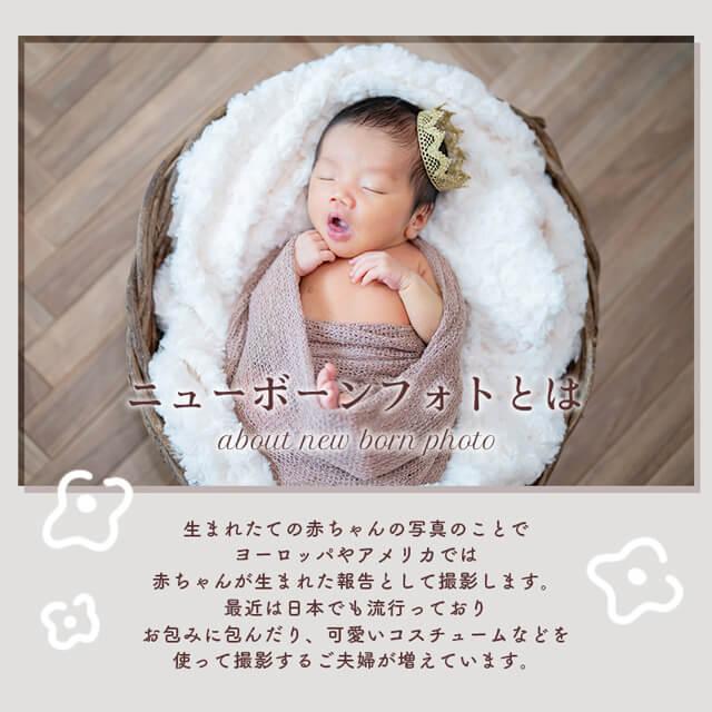 ニューボーンフォト　セット ニューボーン ニューボーンフォト フォトセット 天使の羽 赤ちゃん