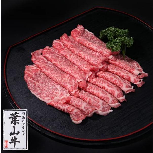 好評 送料込み 葉山牛 特上 赤身すき焼きセット ５００ｇ 送料込 ３ ５人前 葉山牛赤身肉 葉山牛ギフト 熨斗対応 Hi 02 えるそるダイレクト 通販 Yahoo ショッピング 偉大な Www Lequotidien Mr