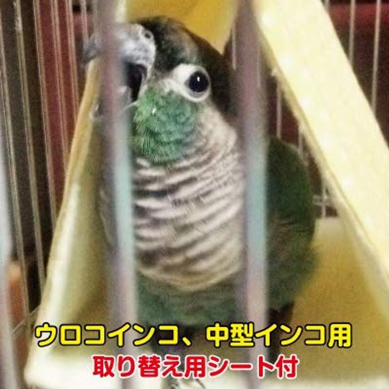 オープニング大セール 取り替え用シート2枚付 ウロコインコなど 中型インコ用2枚組 すずやかバードテント 春夏用 Lサイズ 鳥用品