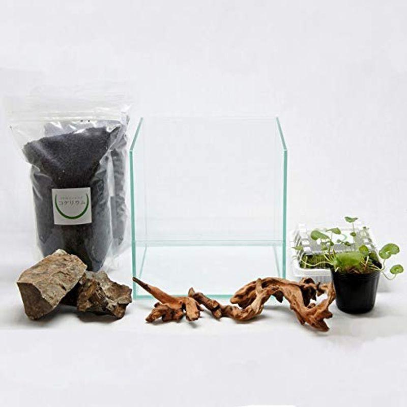 1年保証 コケリウム コケのインテリア 栽培キット アクアテラリウムキット セット 苔盆栽 キット テラリウム フィルター ポンプ ろ材 Www Janvier Labs Com