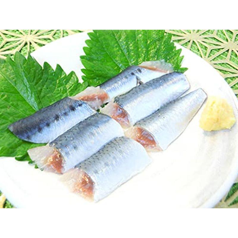 北海道産 刺身いわし フィーレ 骨なし 24枚 バラ凍結 ワンフローズンの極上品