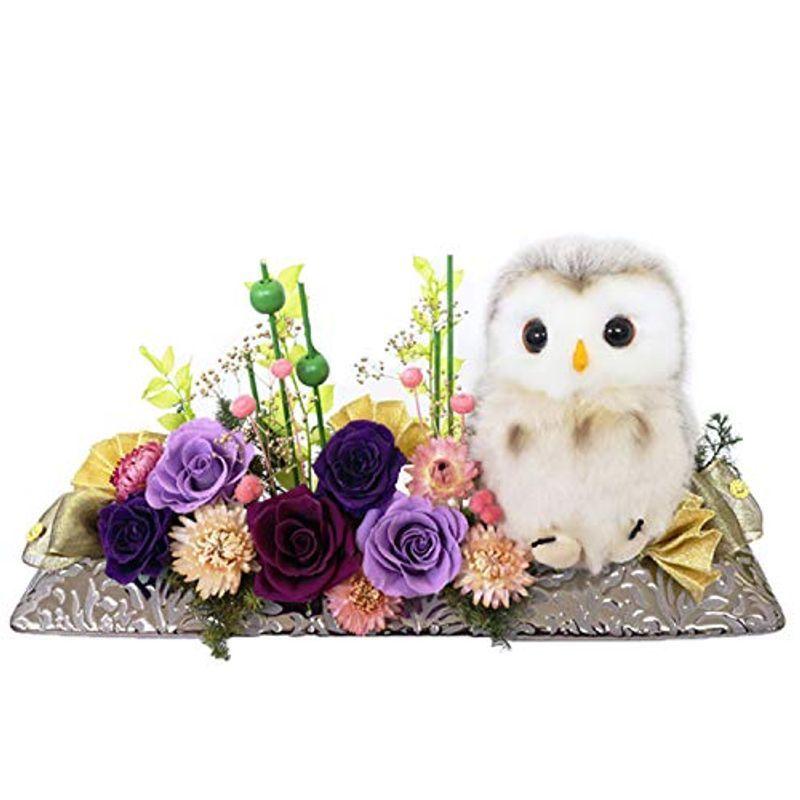 サウンドアレンジ 花長寿 花長寿 プリザーブドフラワー ふくろう 京紫 ならショッピング ランキングや口コミも豊富なネット通販 更にお得なpaypay残高も スマホアプリも充実で毎日どこからでも気になる商品をその場でお求めいただけます 花