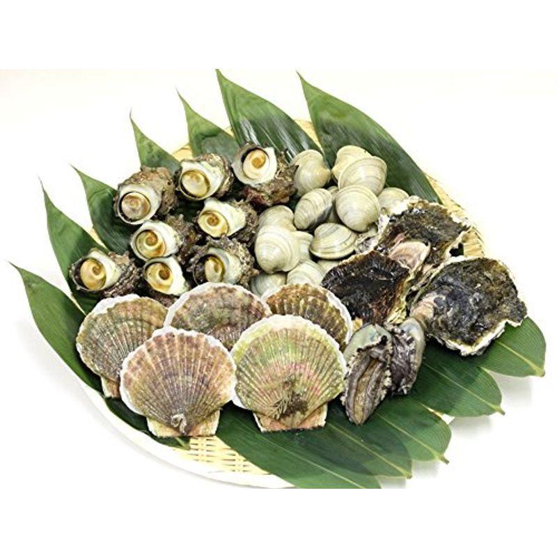 Seasonal Wrap入荷 海鮮 バーベキューセット 上 築地直送 5種類3 5kg ホンビノス1kg サザエ1kg ホタテ5枚 アワビ2枚 岩カキ3枚 バーベキュー Cisama Sc Gov Br