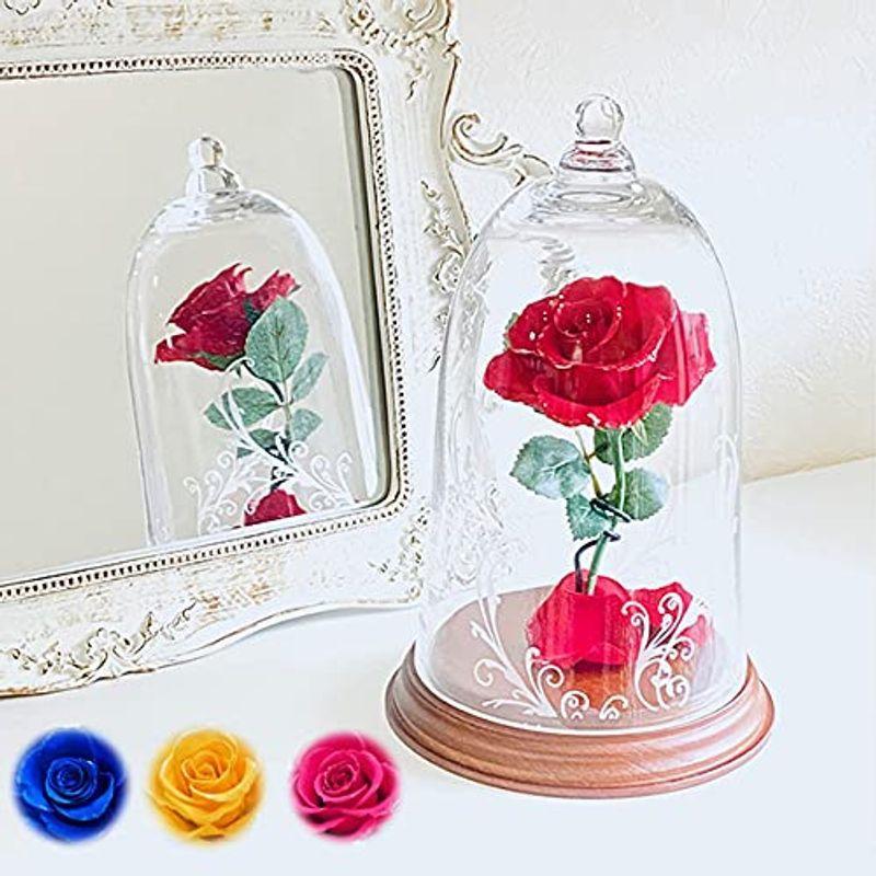 美女と野獣 バラ 天然ダイヤ付き ガラスドーム 真実の愛の贈り物 レッド えるみストア 通販 Yahoo ショッピング