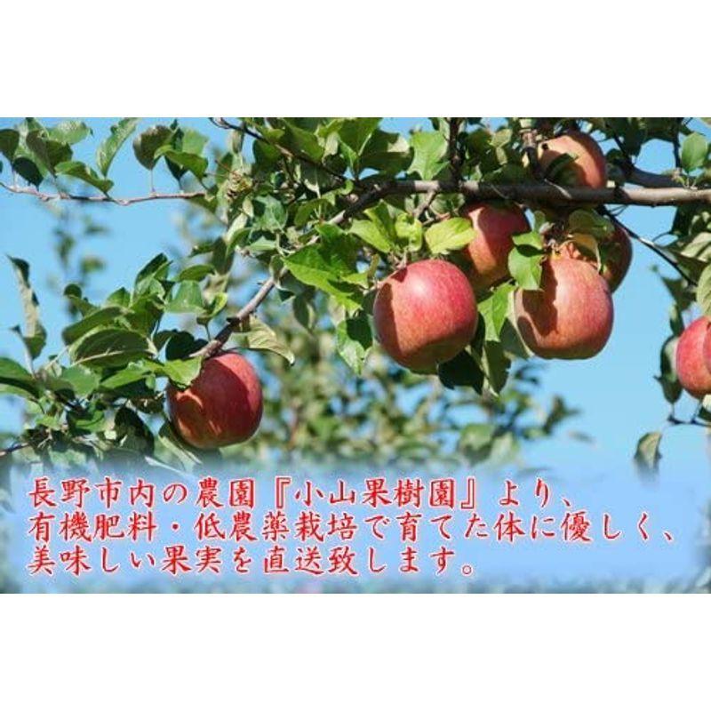 農園より産地直送 長野県産 りんご シナノスイート B品 約4.5kg 12?20個入｜elumy-store｜05