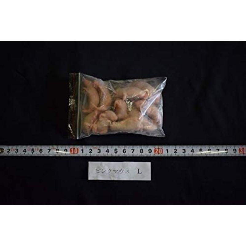 冷凍ピンクマウスm 300匹 約3 0cm ネズミ 冷凍ネズミ 餌 大型魚の肉食ペット用 冷凍マウス 冷凍餌 クール便発 エサ 富城 猛禽類 両生類 冷凍 爬虫類 匹