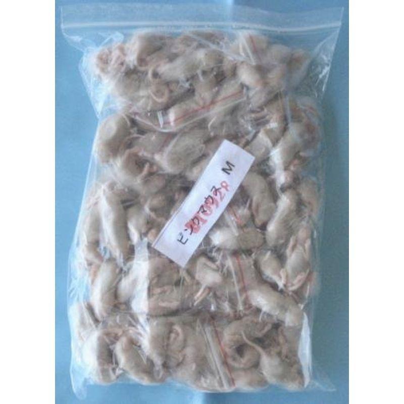 クール便発送 爬虫類 両生類のエサ 冷凍ピンクマウスmサイズ 約３cm 1 0匹 ならショッピング ランキングや口コミも豊富なネット通販 更にお得なpaypay残高も スマホアプリも充実で毎日どこからでも気になる商品をその場でお求めいただけます