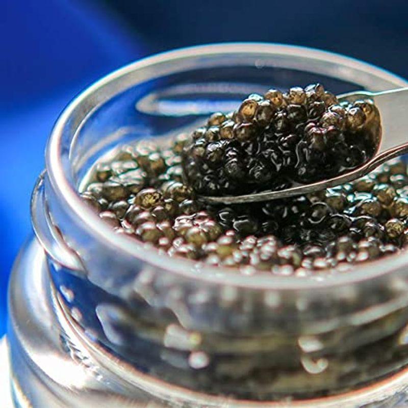 宮崎県産 魚介類 海産物 九州 国産 ヨーロッパ フレッシュキャビア 生キャビア 日南キャビア きゃびあ 100g 冷凍 イクラ タラコ 魚卵 チョウザメ 魚卵 フランス ヨーロッパ 塩分 えるみストア アウトレット割引