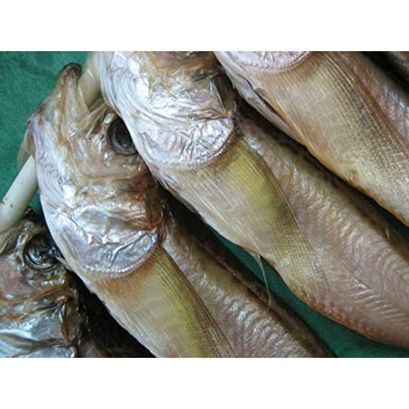 2994円 即発送可能 予約 北海道産 生ハタハタ 1箱 3kg メス 子持ち 約