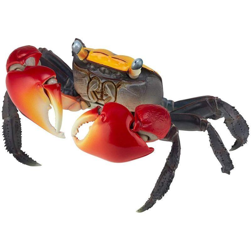 リボジオ アカテガニ 全幅約140mm Pvc Abs製 塗装済み 可動フィギュア 海洋堂 Kaiyodo Rg002 えるみストア 通販 Yahoo ショッピング